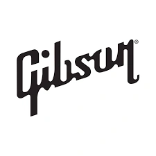 Gibsonlook US