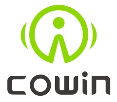 COWIN TECHNOLOGY INC US
