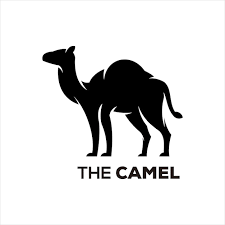 camel store coupons