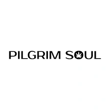 pilgrim soul coupons