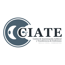 ciate coupons