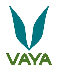 vaya coupons