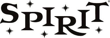 spirit halloween coupons